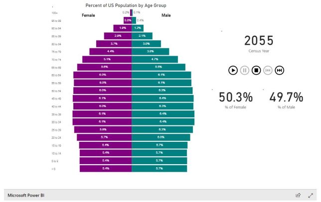 Age Pyramid